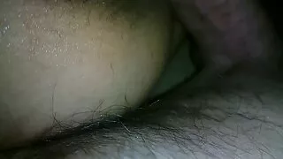 Дэгдээхэйгээ авч байна
