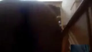 Тэр йог хийж байх үед Лёша Масетный түүн дээр үсрэн бөгсөөрөө түүнийг няцалсан