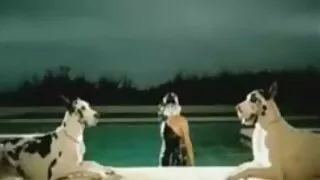 Хар галзуугийн түүний найз охин